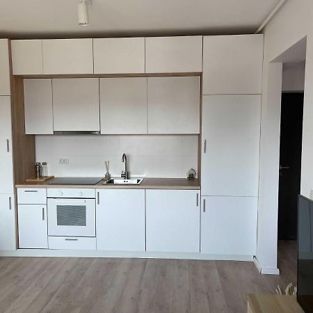 Platinum Luxury Apartment Near Presidential Palace بوخارست المظهر الخارجي الصورة