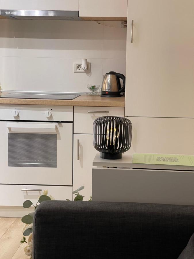 Platinum Luxury Apartment Near Presidential Palace بوخارست المظهر الخارجي الصورة